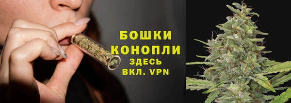 бутират Белокуриха