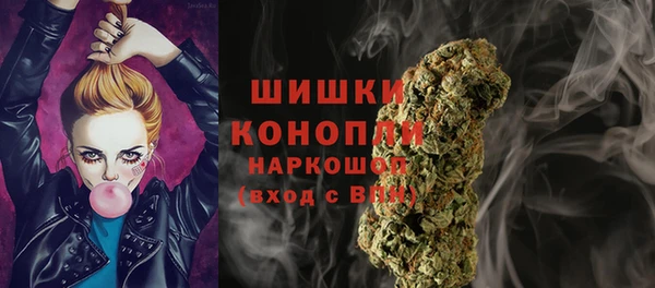гидропоника Белоозёрский