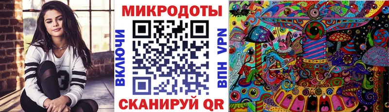 kraken онион  Невель  Галлюциногенные грибы Psilocybine cubensis 